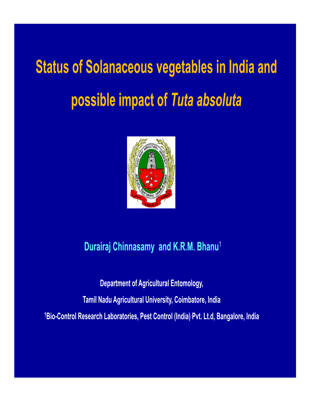 Status of Solanaceous Vegetables in India and Possible Impact of Tuta Absoluta