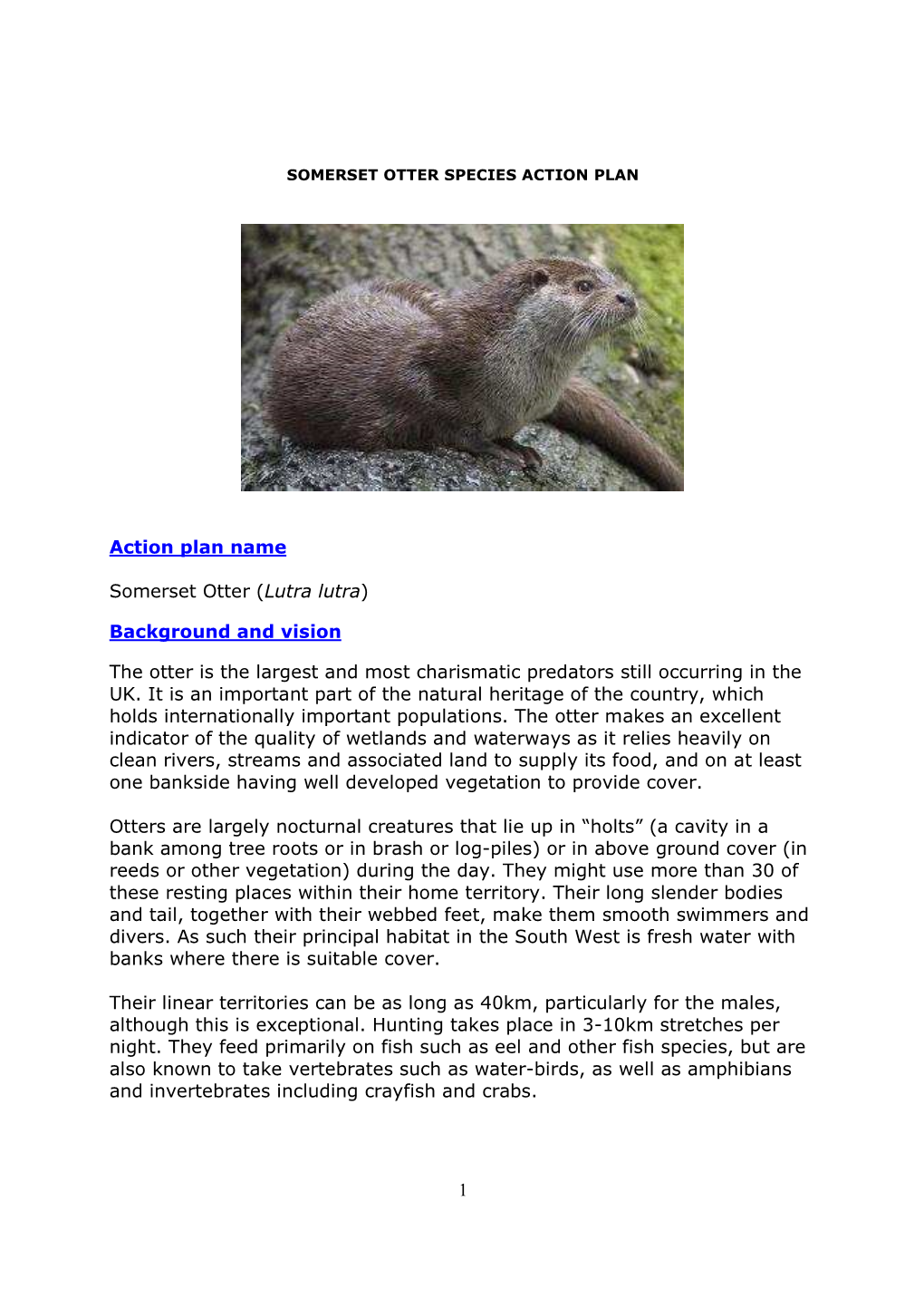 Somerset Otter Species Action Plan