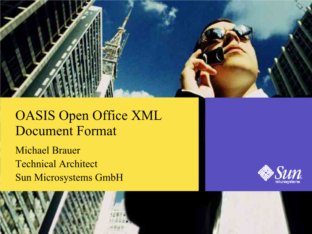 OASIS Open Office XML Document Format Michael Brauer Technical Architect Sun Microsystems Gmbh About the Speaker