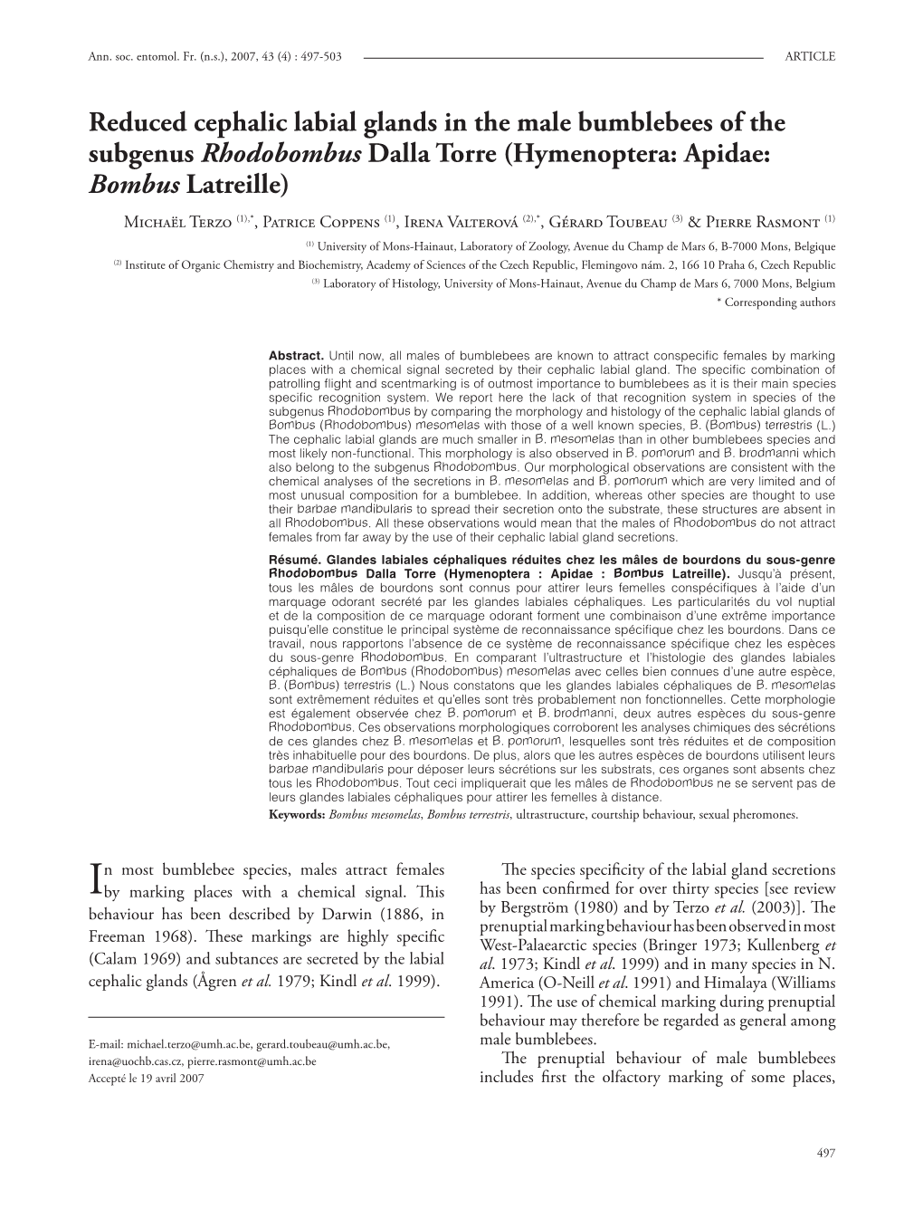 Reduced Cephalic Labial Glands in the Male Bumblebees of the Subgenus