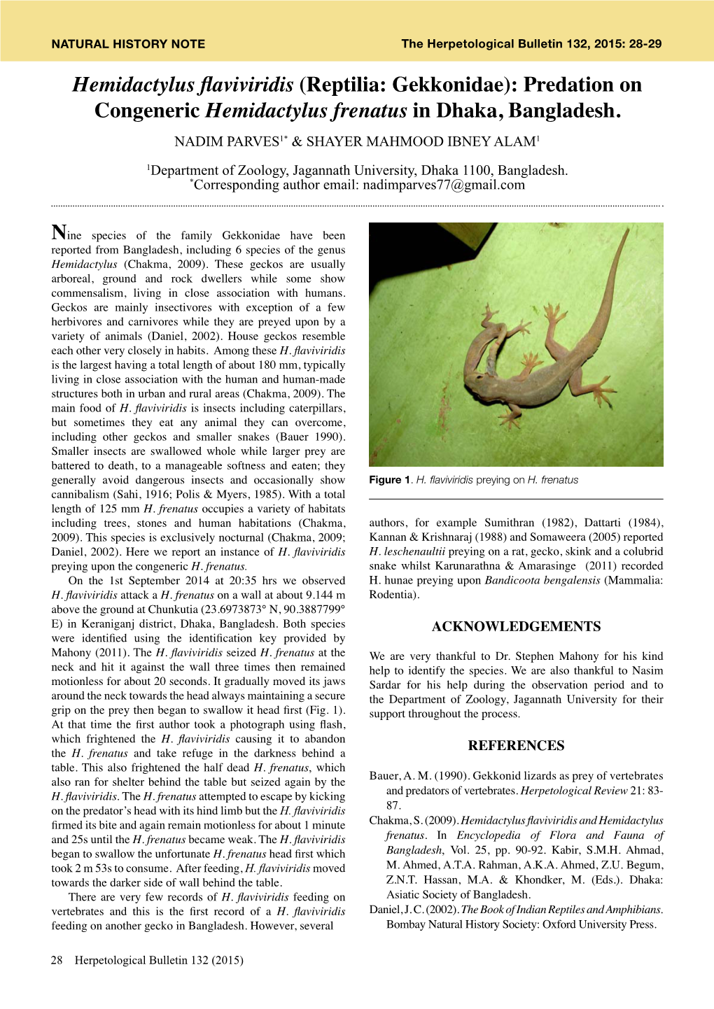Hemidactylus Flaviviridis (Reptilia: Gekkonidae): Predation on Congeneric Hemidactylus Frenatus in Dhaka, Bangladesh