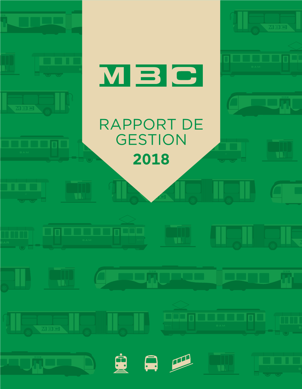 Rapport De Gestion 2018 Rapport De Gestion 2018