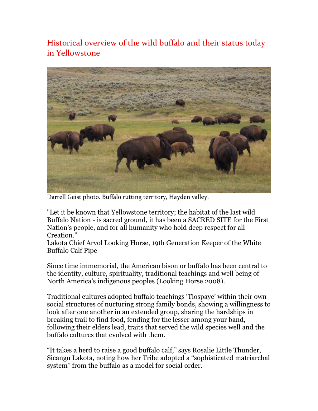 Since Time Immemorial, the Indigenous American Bison Or Buffalo Has Been Central to the Identity and Well Being of North Americ