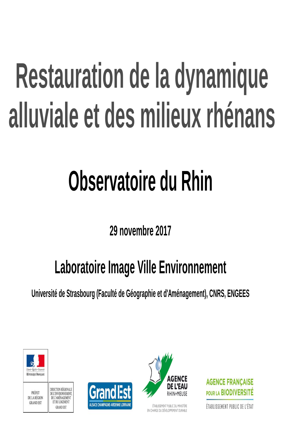 Restauration De La Dynamique Alluviale Et Des Milieux Rhénans