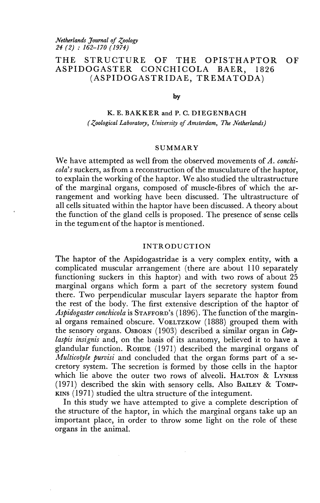 THE STRUCTURE of the OPISTHAPTOR of ASPIDOGASTER CONCHICOLA BAER, 1826 (ASPIDOGASTRIDAE, TREMATODA) by K. E. BAKKER and P. C. DI