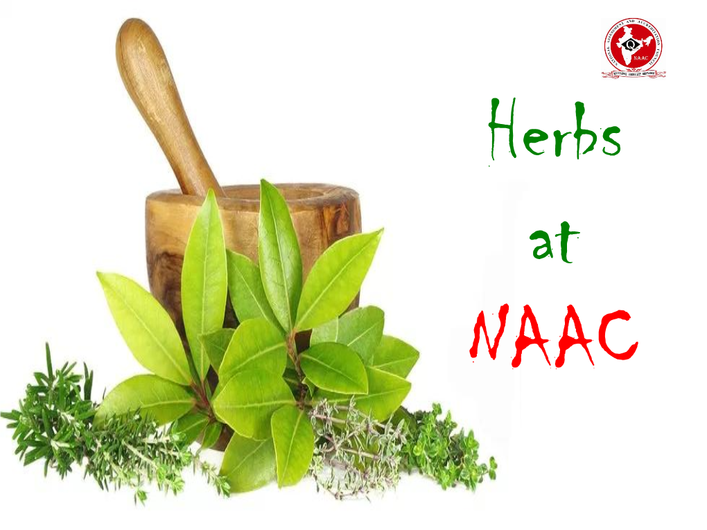 Herbs at NAAC