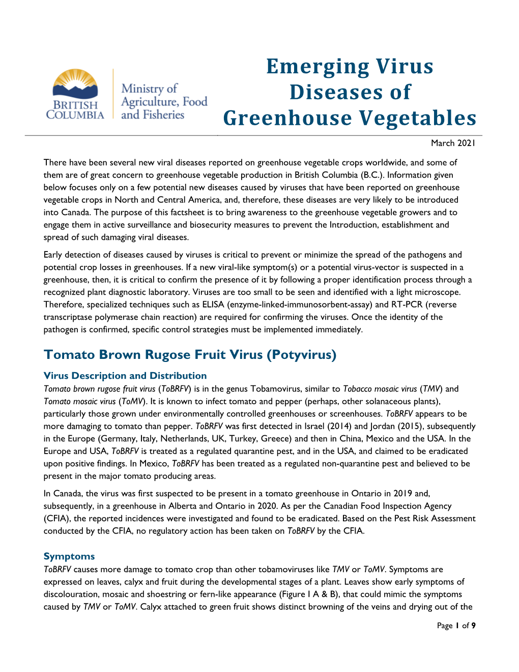 Emerging Virus Diseases of Greenhouse Vegetable Crops