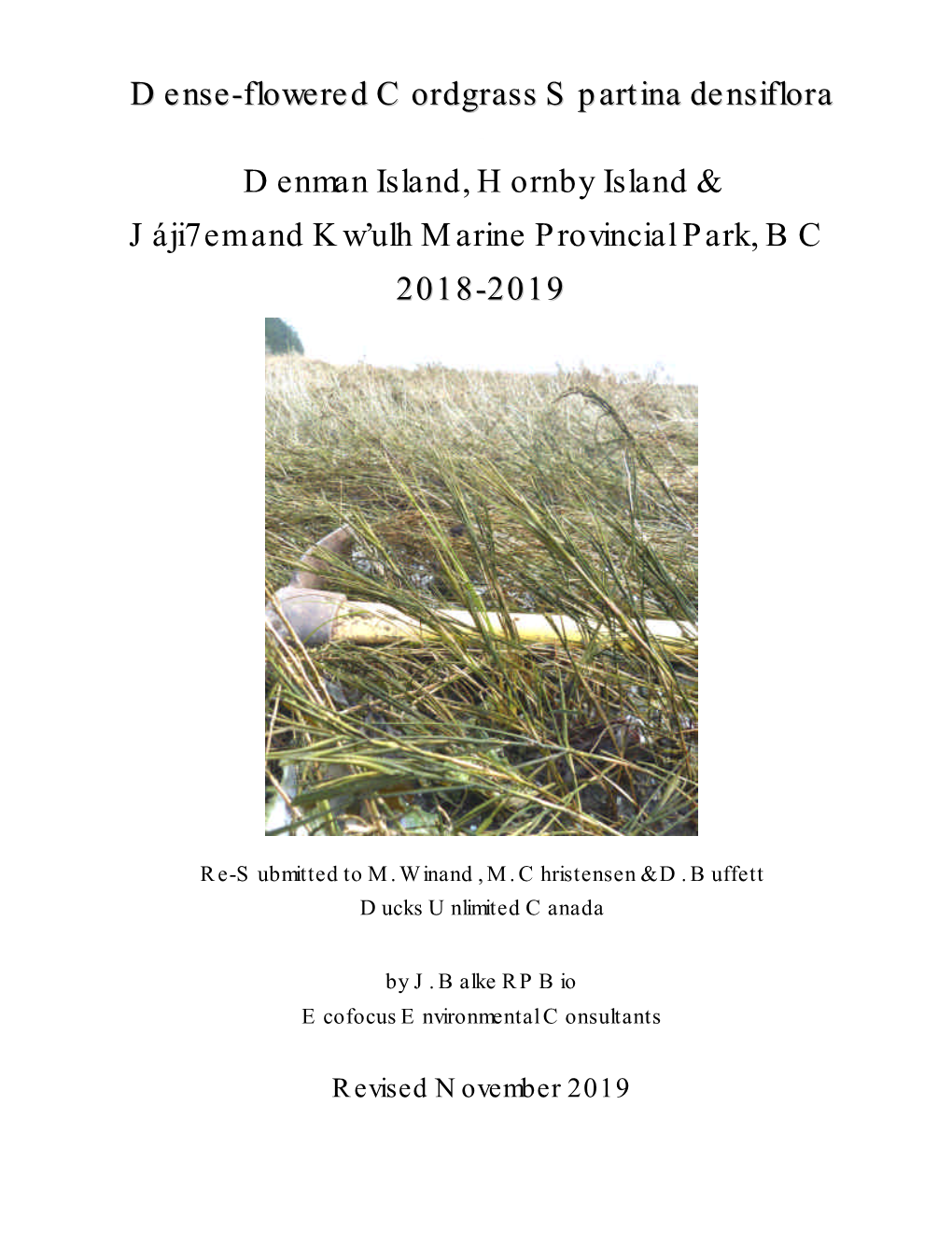 Dense-Flowered Cordgrass Spartina Densiflora Denman Island, Hornby Island & Jáji7em and Kw'ulh Marine Provincial Park