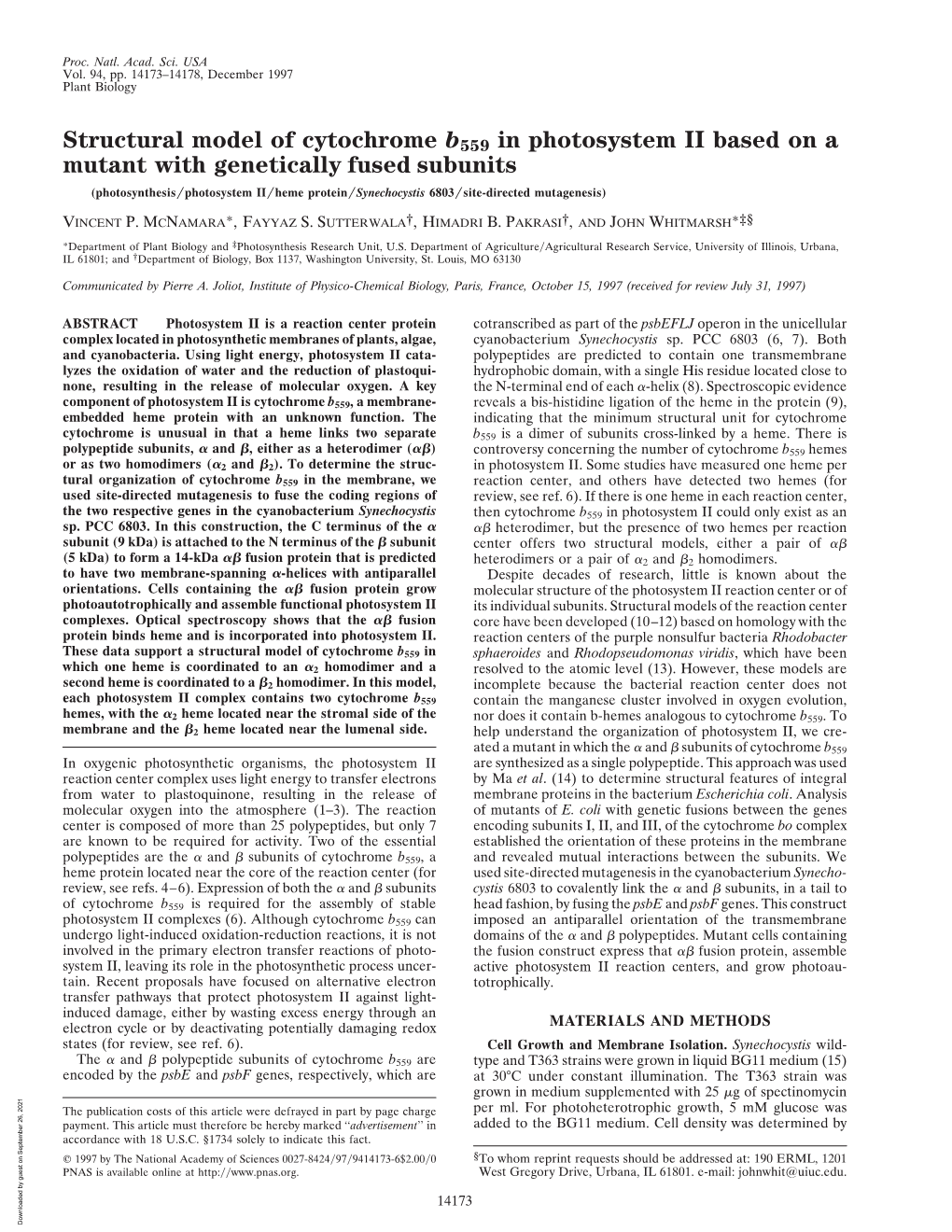 Structural Model of Cytochrome B559 in Photosystem II Based on a Mutant