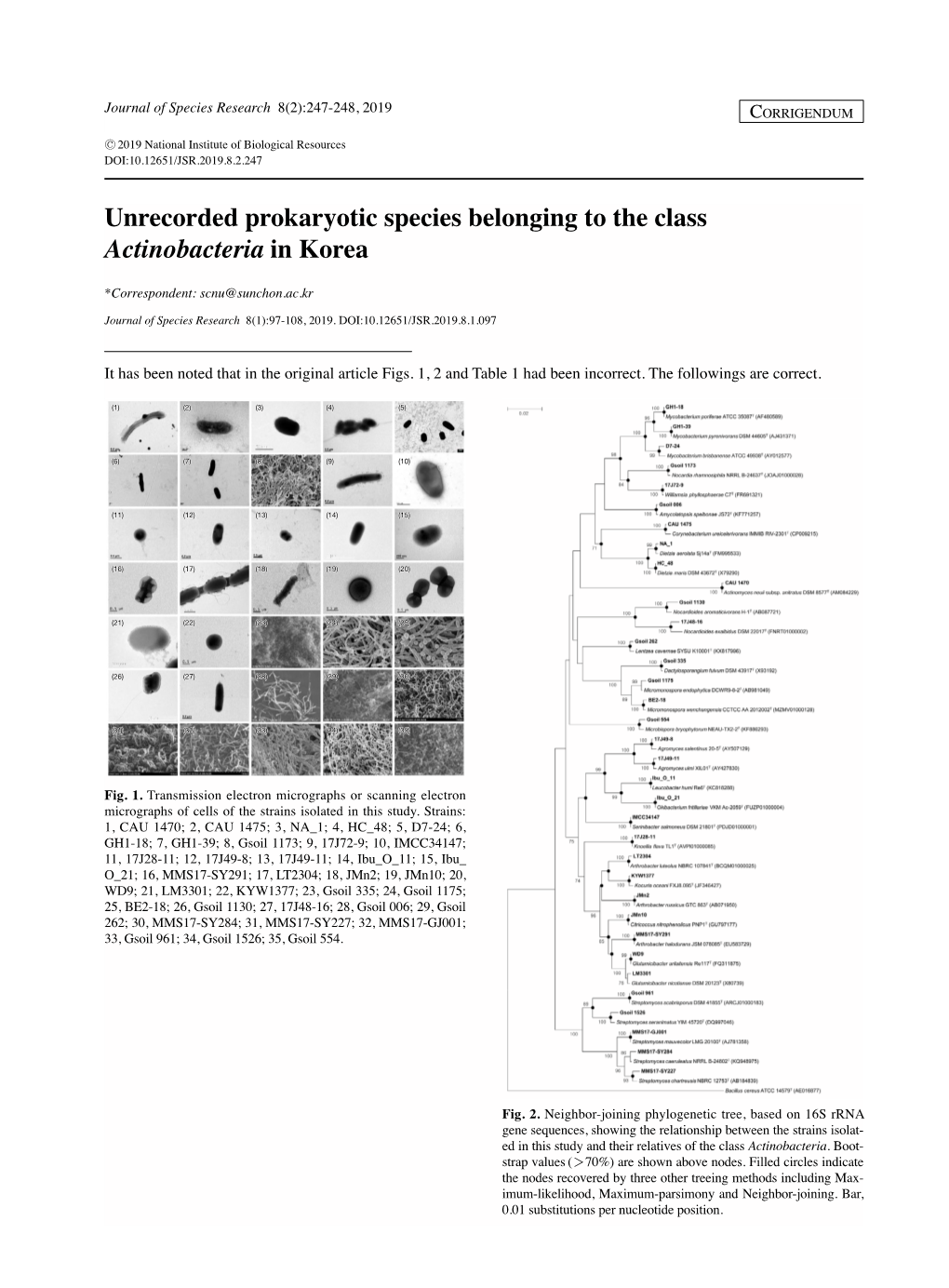 Unrecorded Prokaryotic Species Belonging to the Class Actinobacteria in Korea