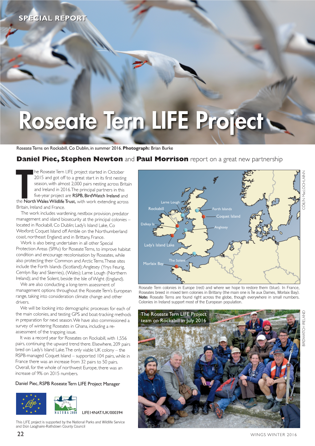 Roseate Tern LIFE Project