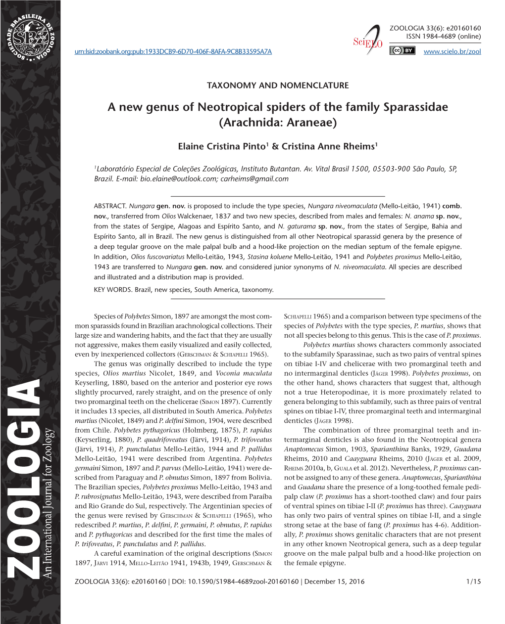 A New Genus of Neotropical Spiders of the Family Sparassidae (Arachnida: Araneae)