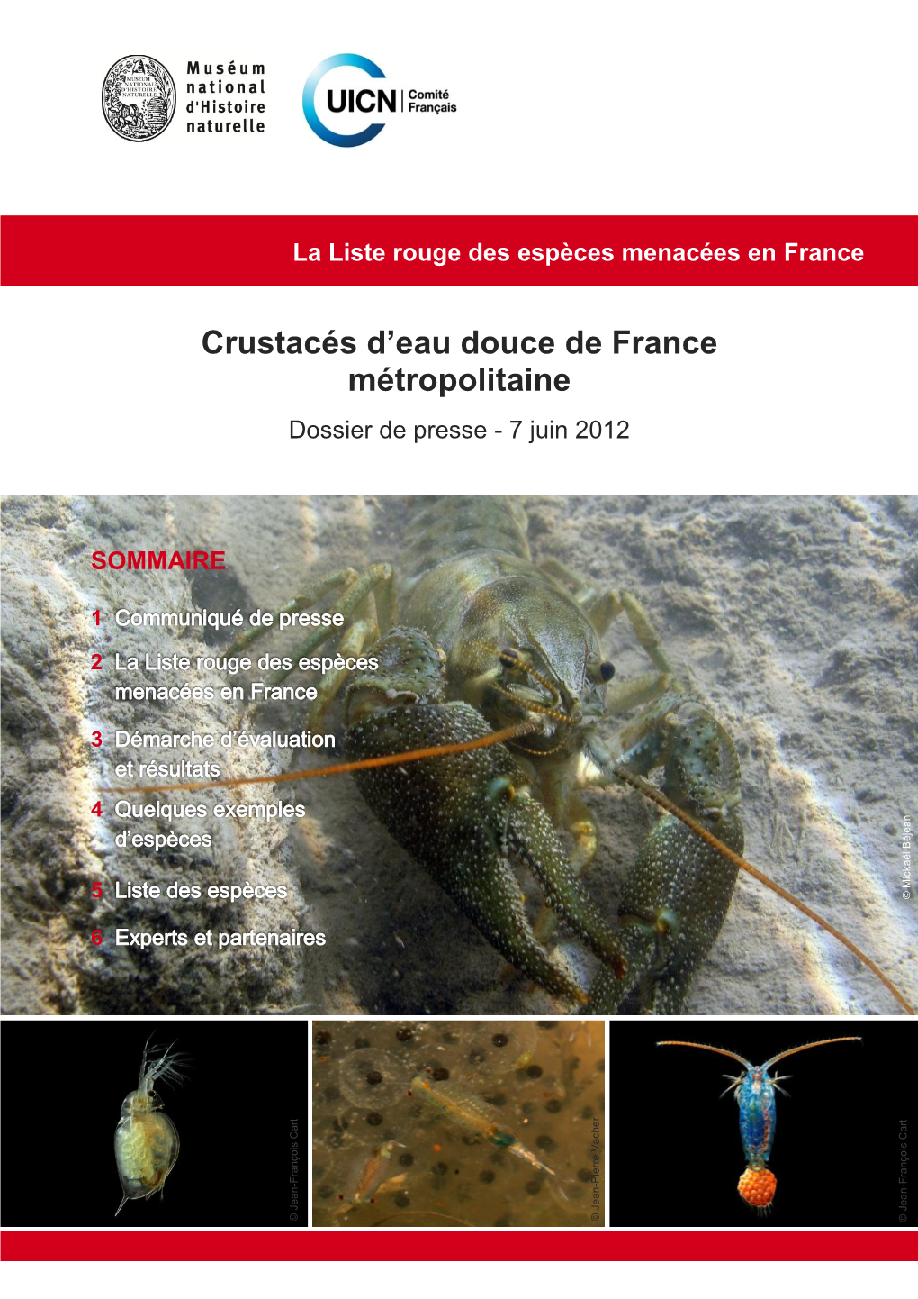 Liste Rouge Des Crustacés D'eau Douce De France Métropolitaine