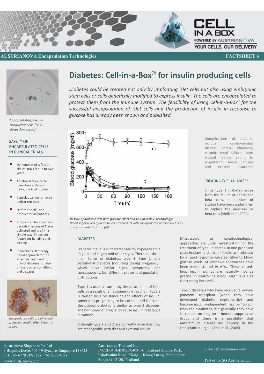 Diabetes: Cell‐In‐A‐Box for Insulin Producing Cells