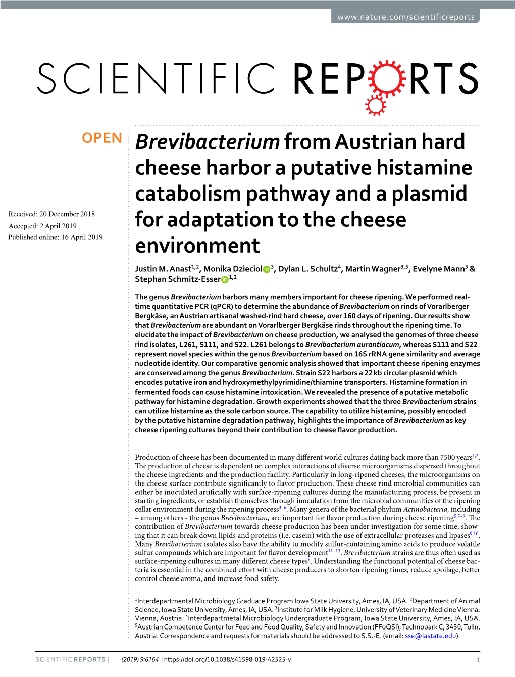 Brevibacterium from Austrian Hard Cheese Harbor a Putative Histamine