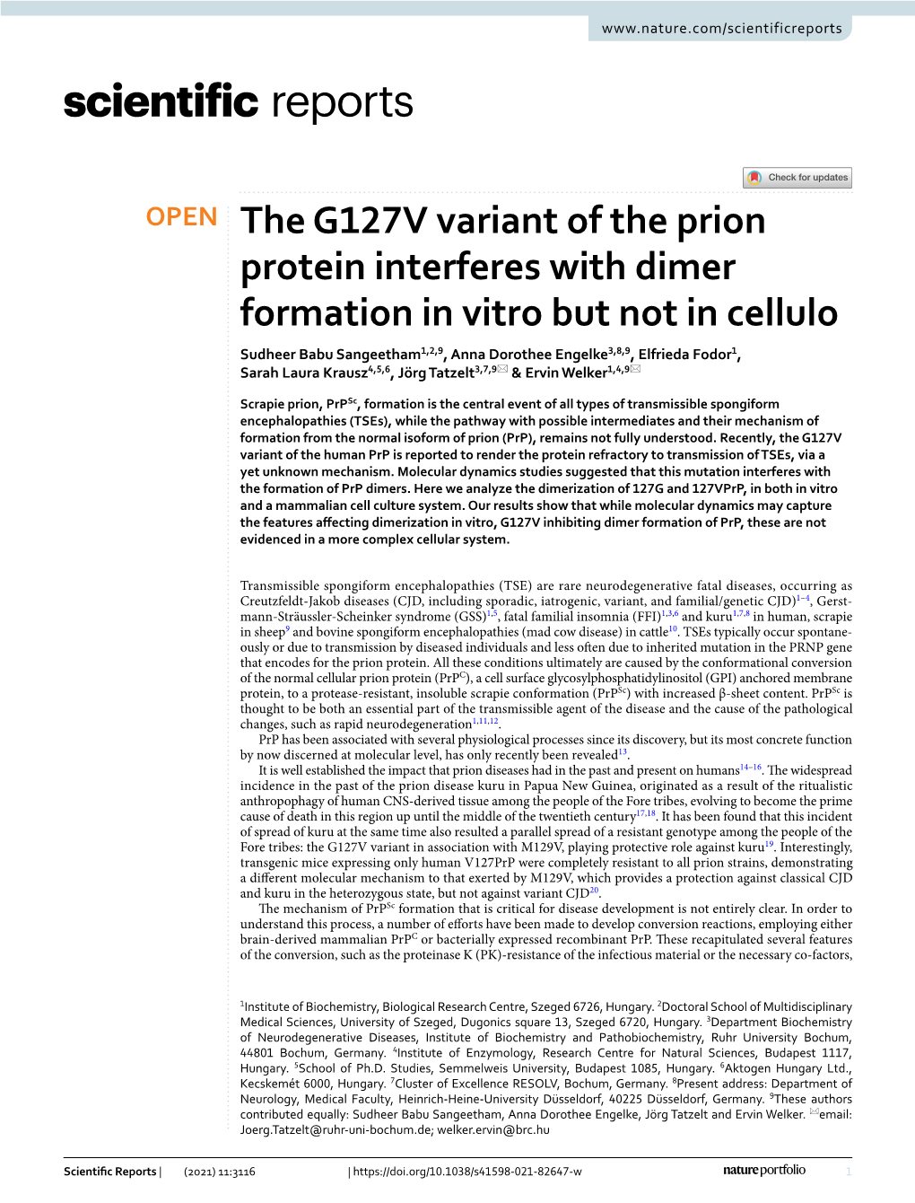 The G127V Variant of the Prion Protein Interferes with Dimer Formation In