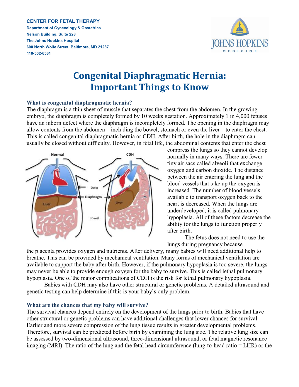 Congenital Diaphragmatic Hernia: Important Things to Know