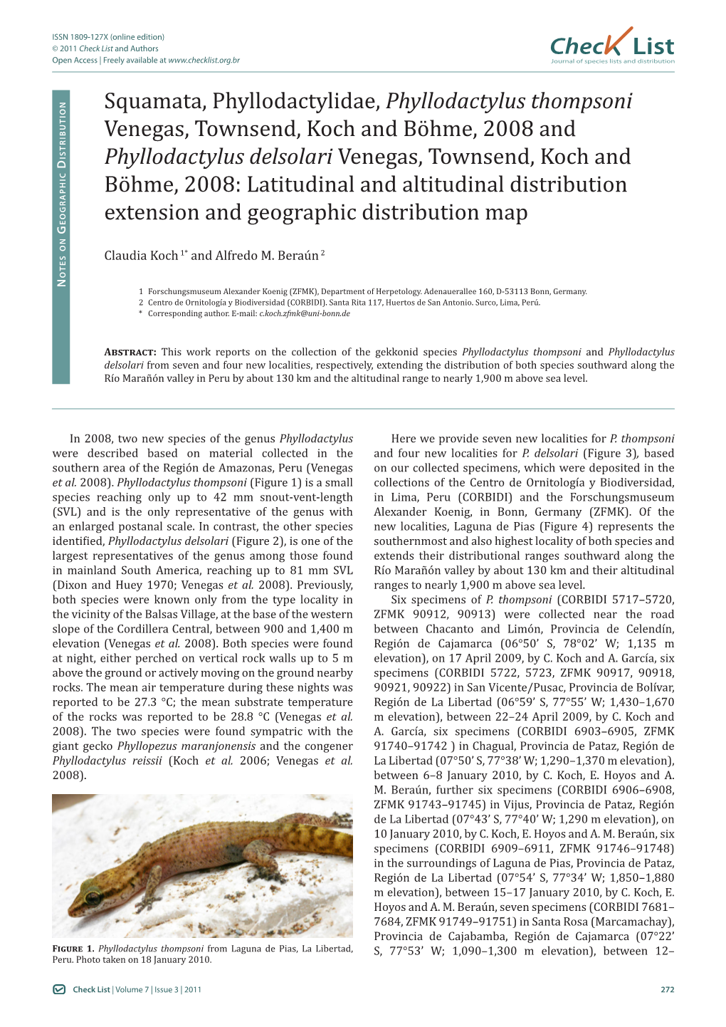 Phyllodactylus Thompsoni Venegas, Townsend, Koch and Böhme, 2008 And