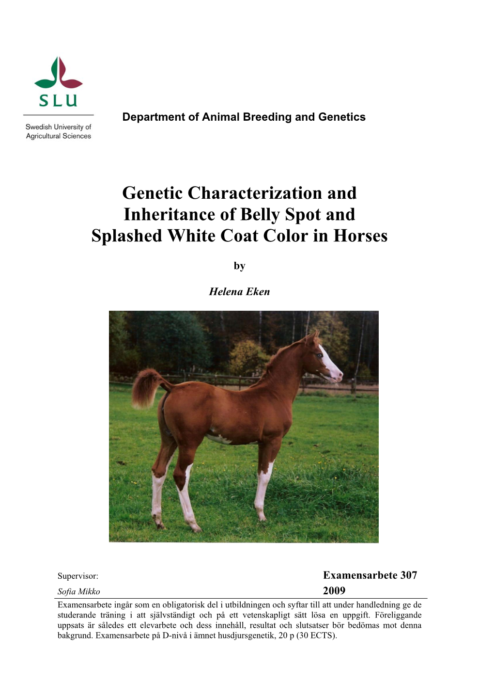 Genetic Characterization and Inheritance of Belly Spot and Splashed White Coat Color in Horses