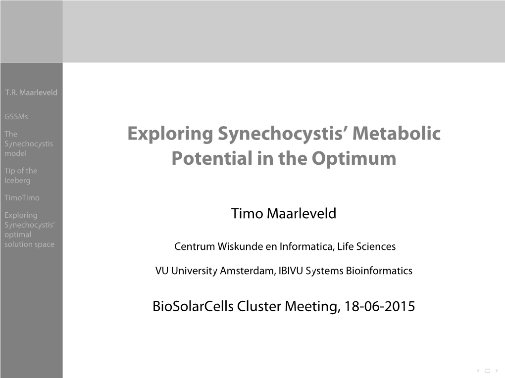 Exploring Synechocystis' Metabolic Potential in the Optimum