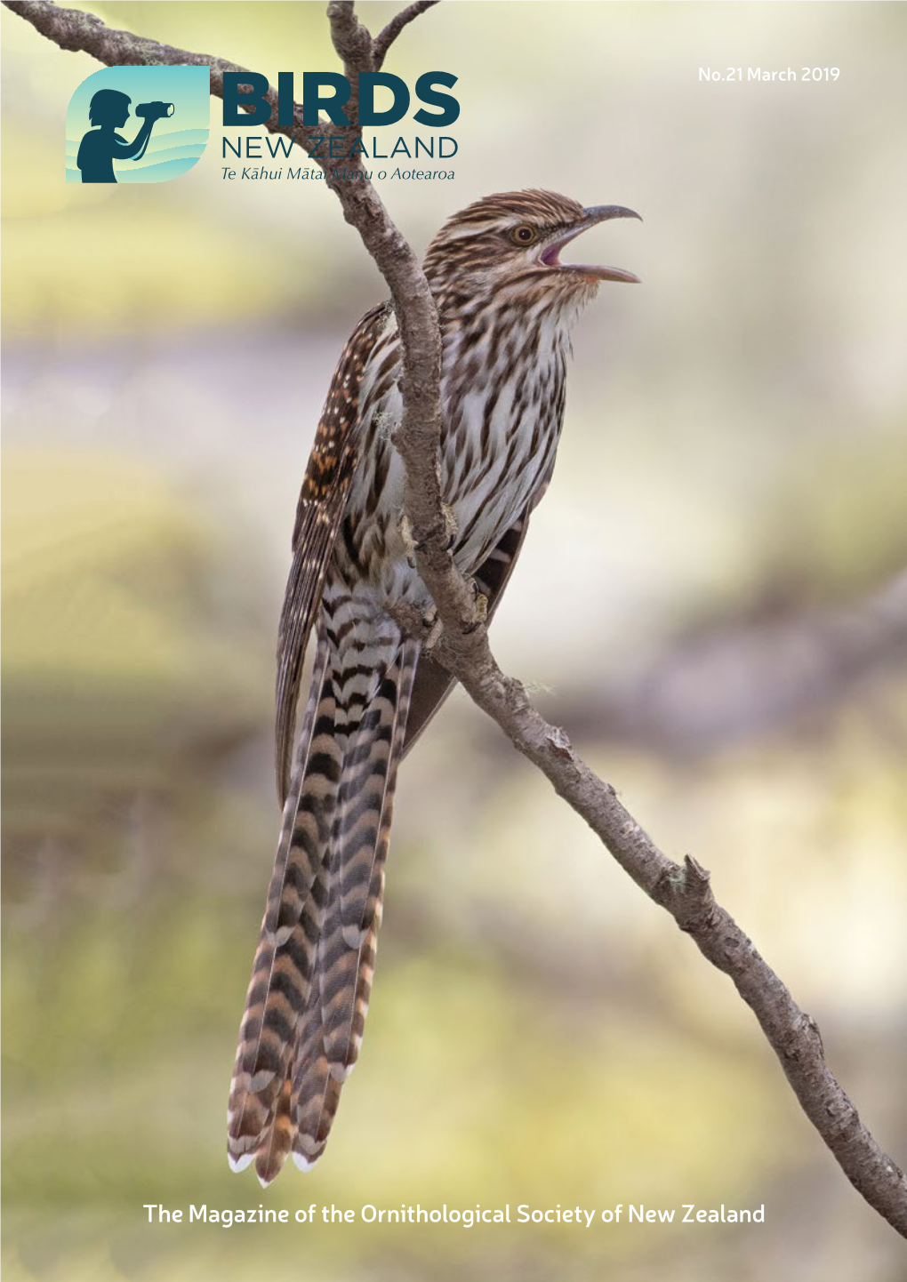 The Magazine of the Ornithological Society of New Zealand