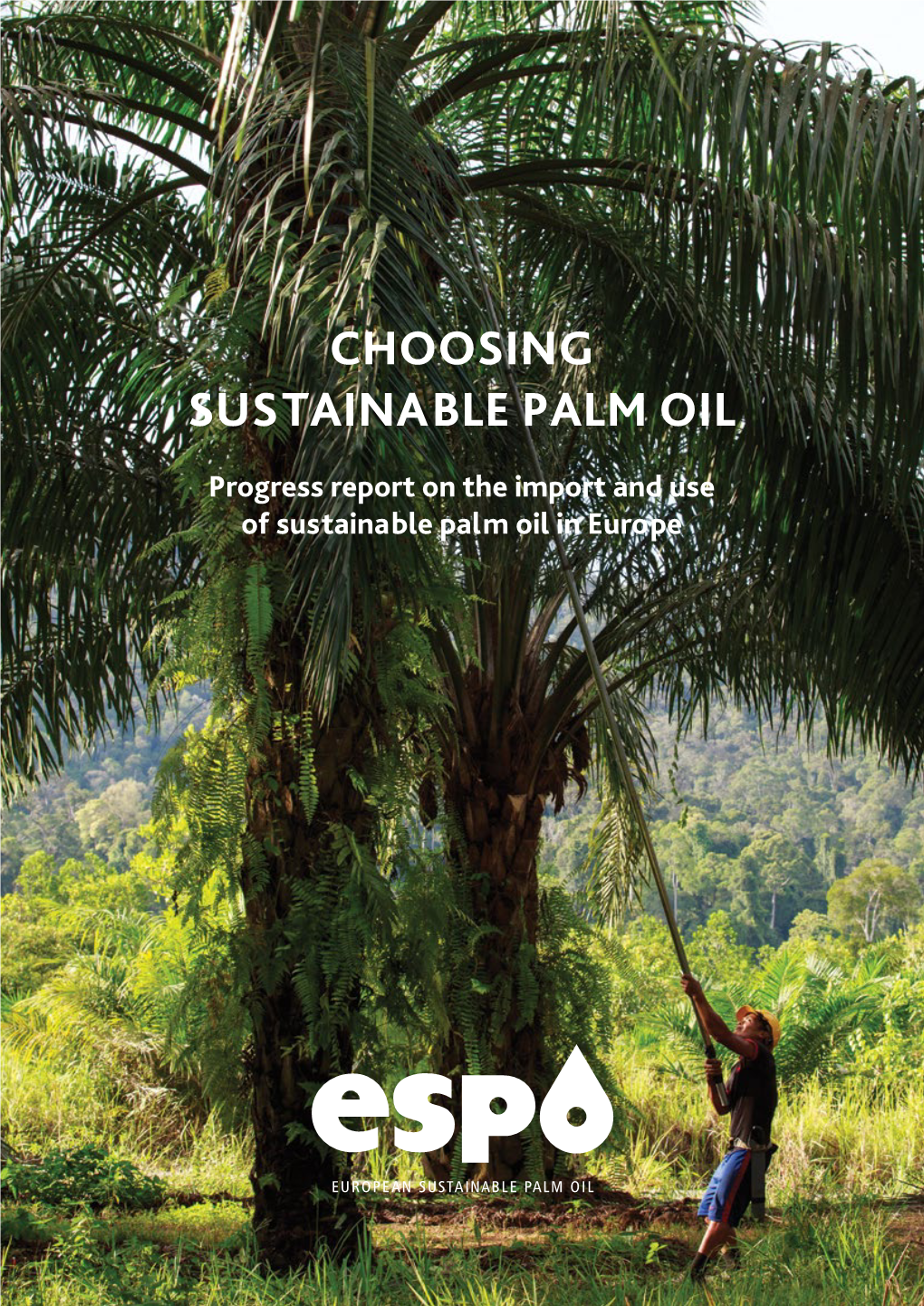 Choosing Sustainable Palm Oil