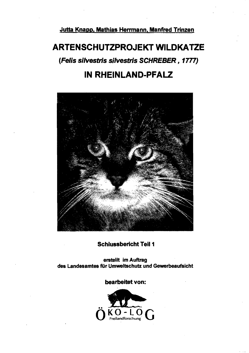 Artenschutzprojekt Wildkatze in Rheinland-Pfalz
