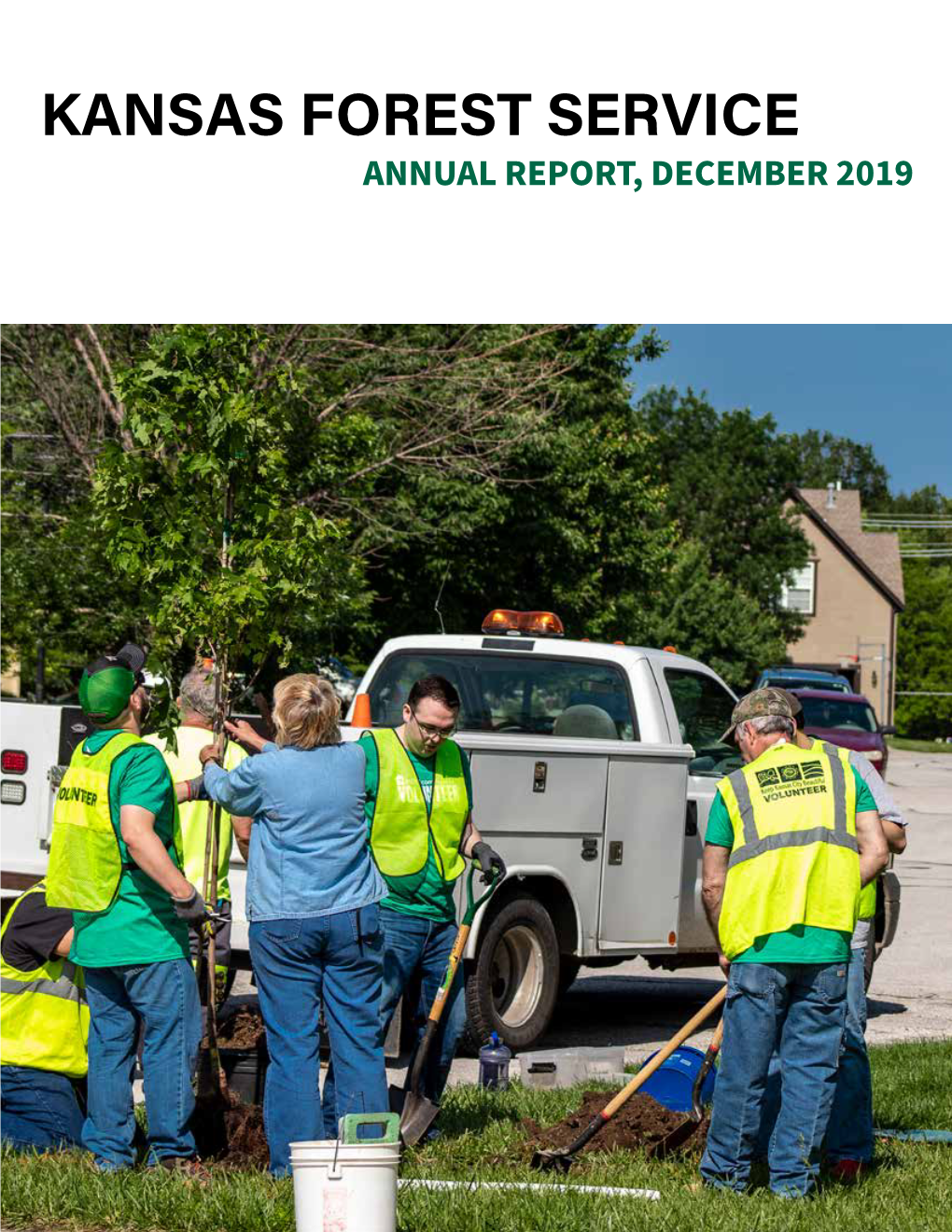 2019 Annual Report by the Numbers