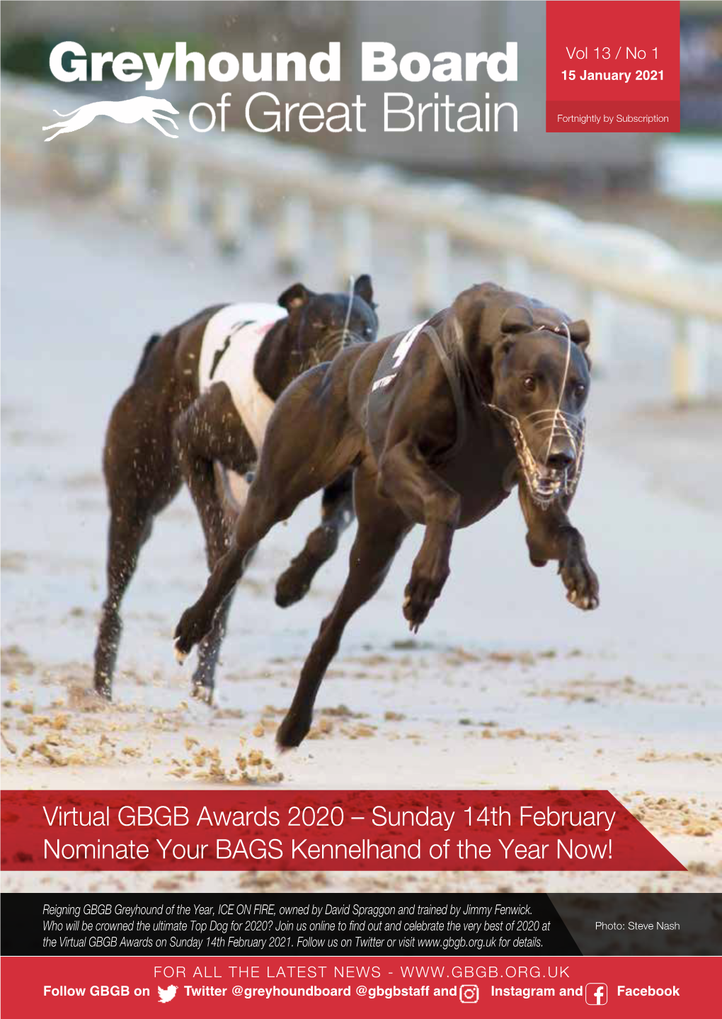 Virtual GBGB Awards 2020 – Sunday 14Th February Nominate Your BAGS Kennelhand of the Year Now!