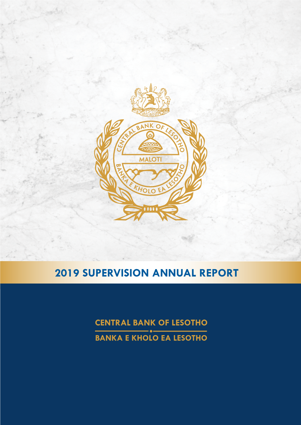 2019 Supervision Annual Report