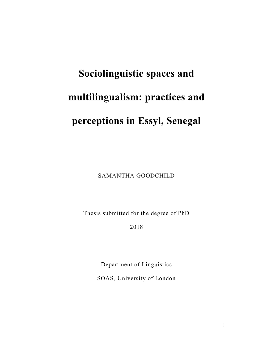 Sociolinguistic Spaces and Multilingualism: Practices And