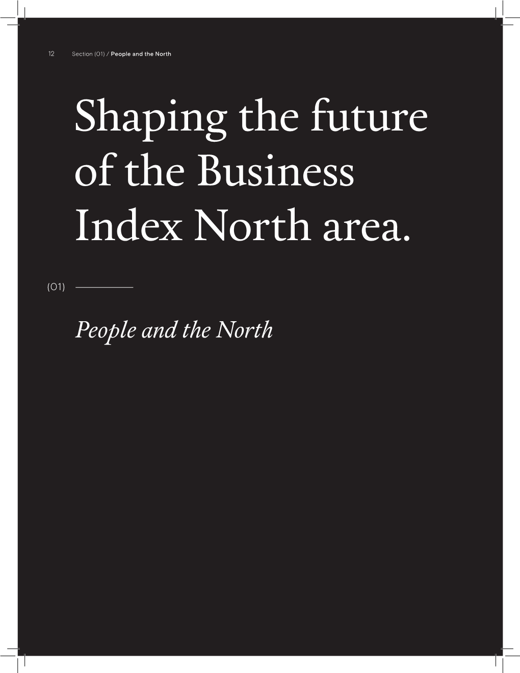 Shaping the Future of the Business Index North Area