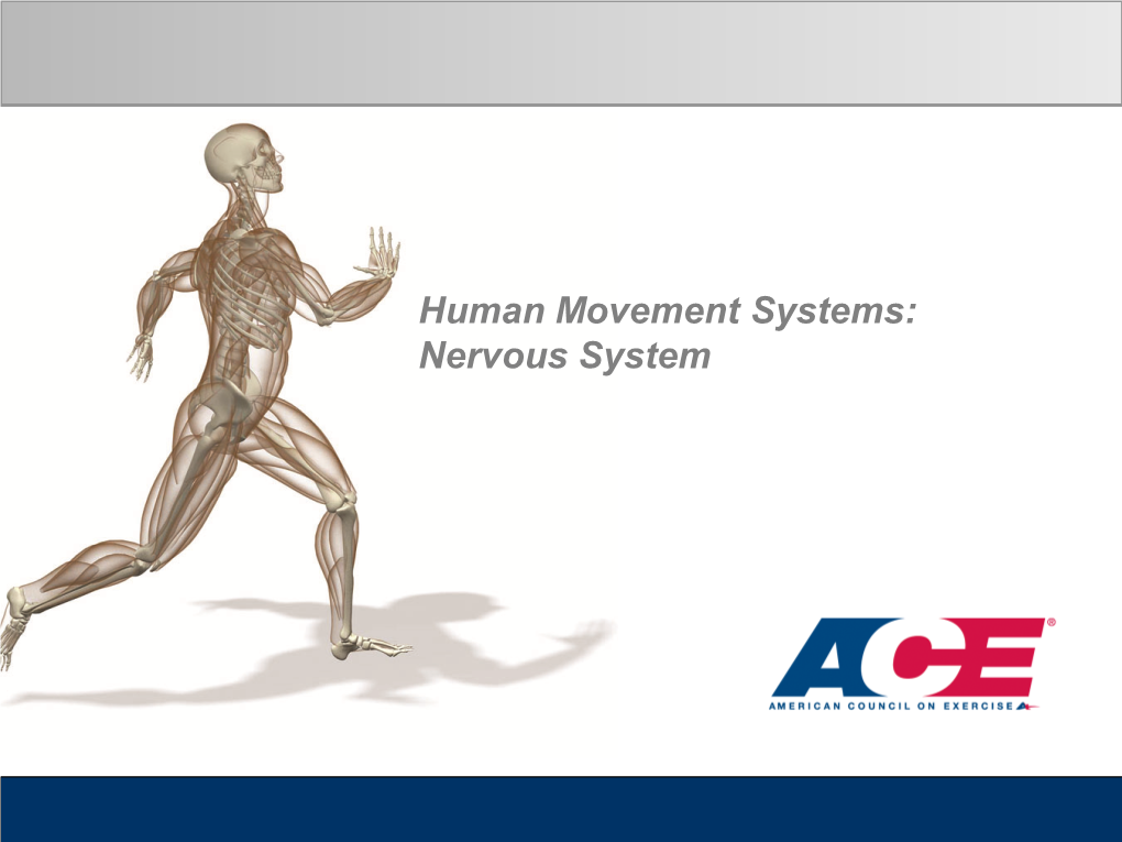 Human Movement Systems: Nervous System Objectives