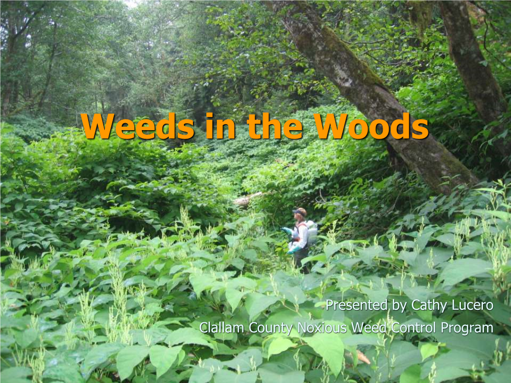 Weeds in the Woods