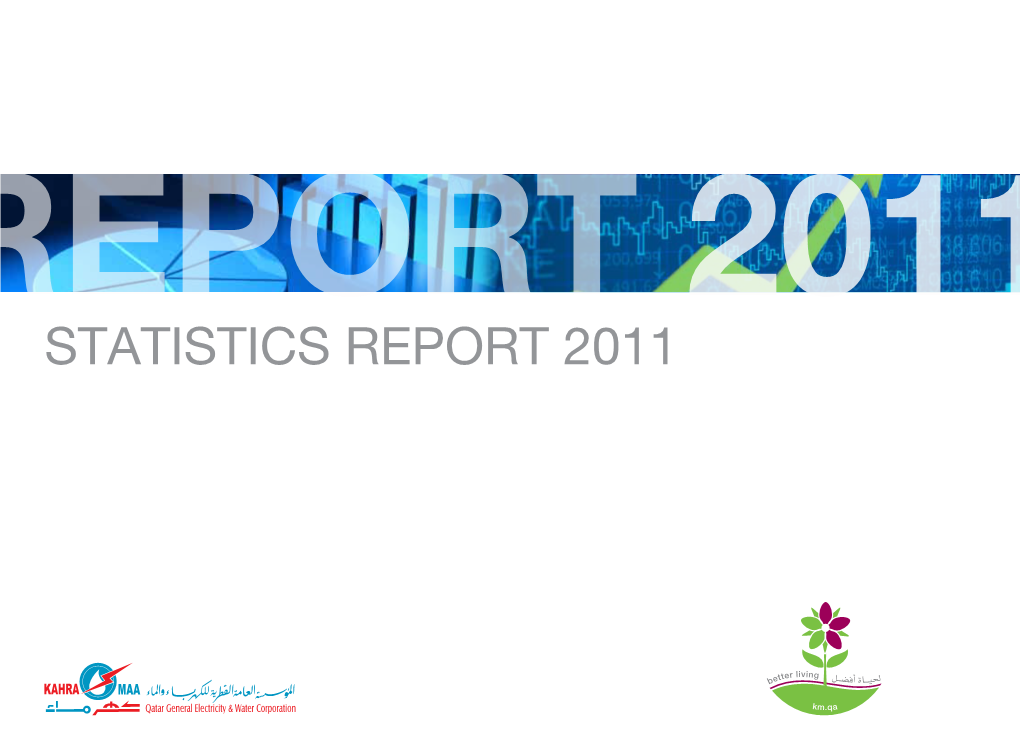 Statistics Report 2011 2011