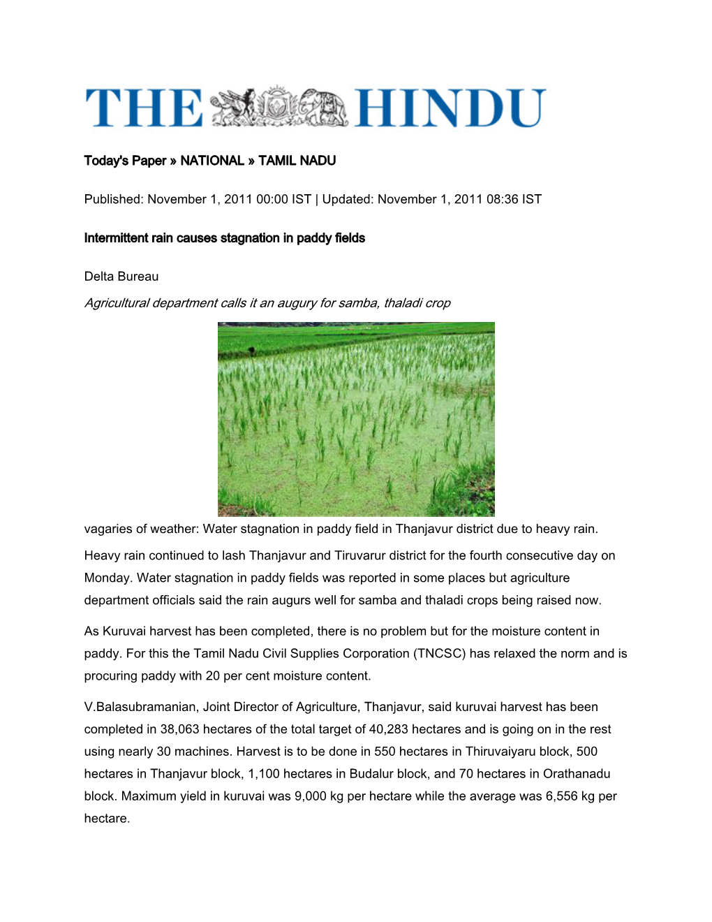 Agricultural Department Calls It an Augury for Samba, Thaladi Crop