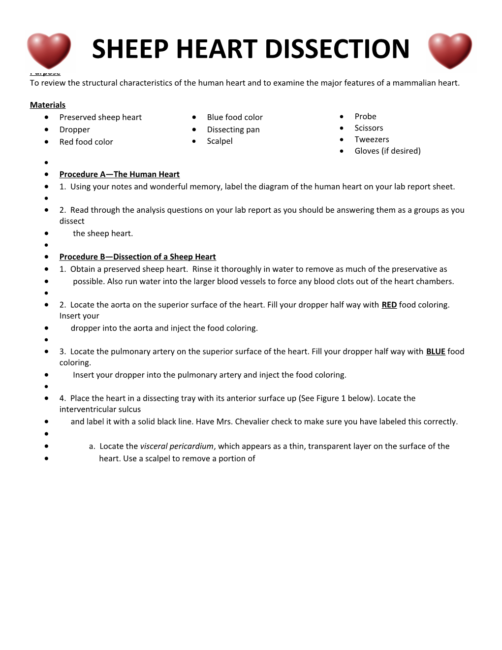 Sheep Heart Dissection Lab