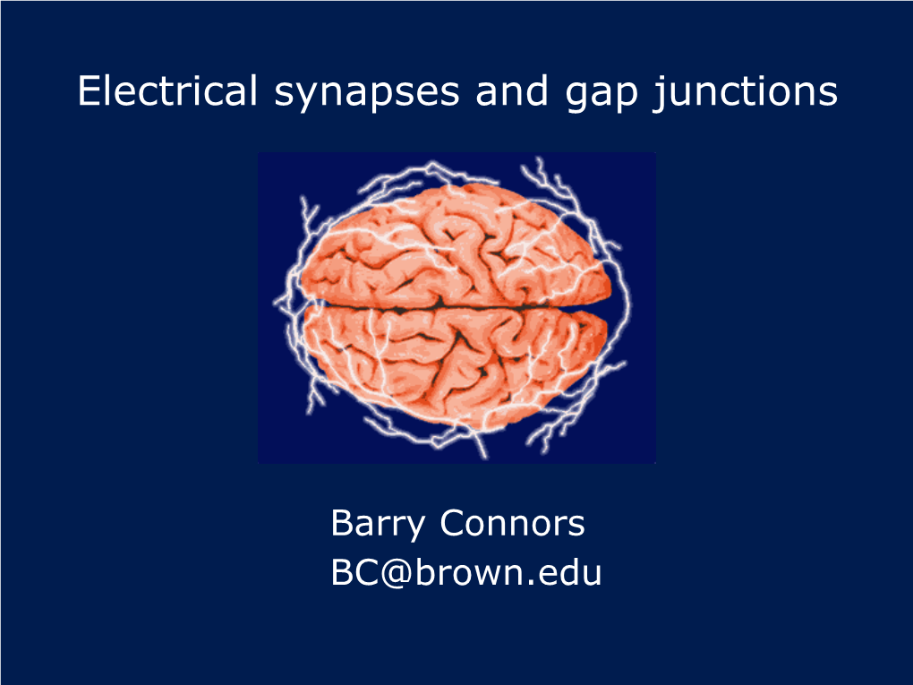 Electrical Synapses and Gap Junctions