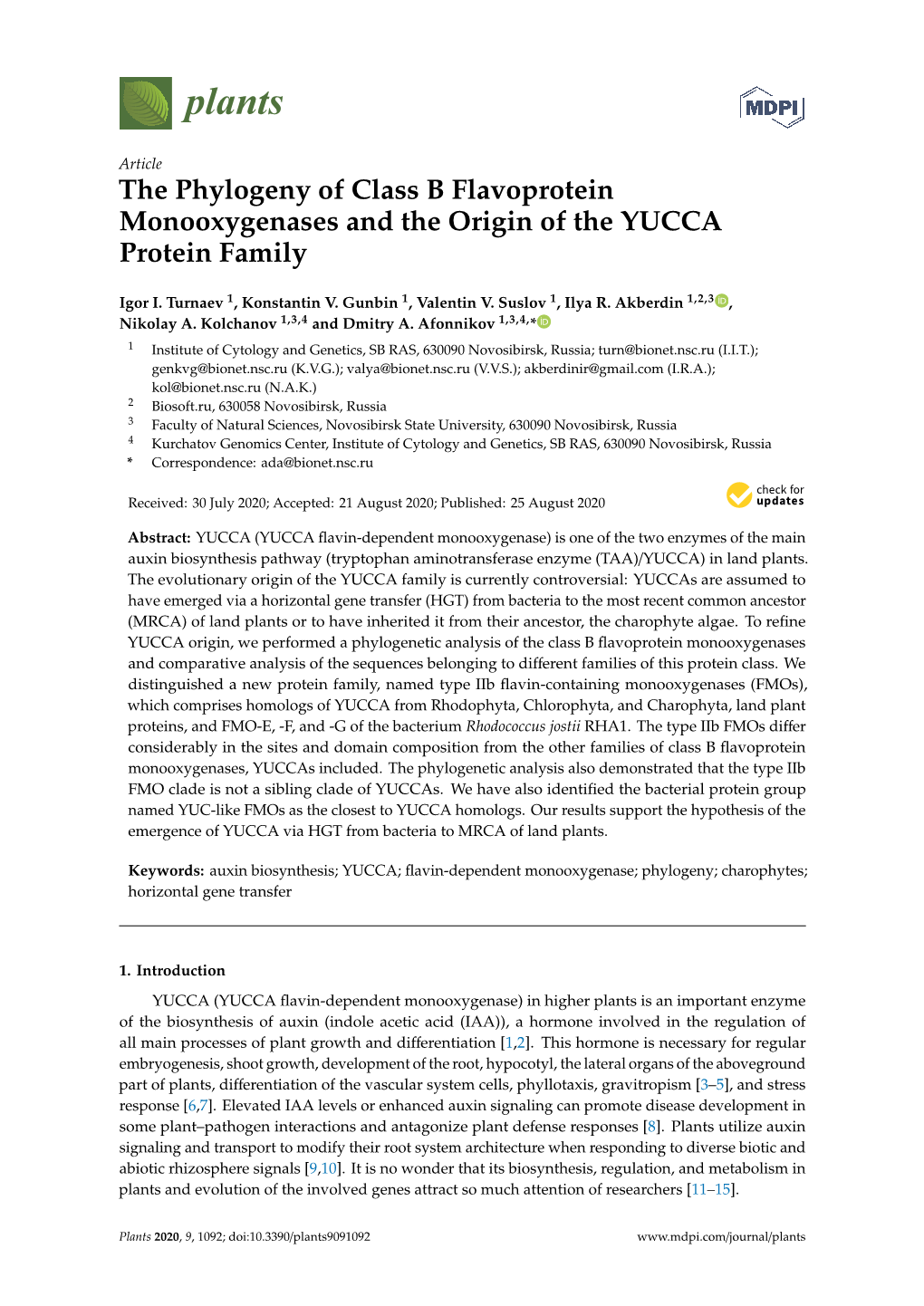The Phylogeny of Class B Flavoprotein Monooxygenases and the Origin of the YUCCA Protein Family