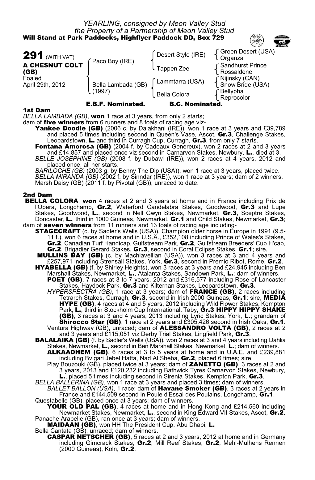 YEARLING, Consigned by Meon Valley Stud the Property of a Partnership of Meon Valley Stud Will Stand at Park Paddocks, Highflyer Paddock DD, Box 729