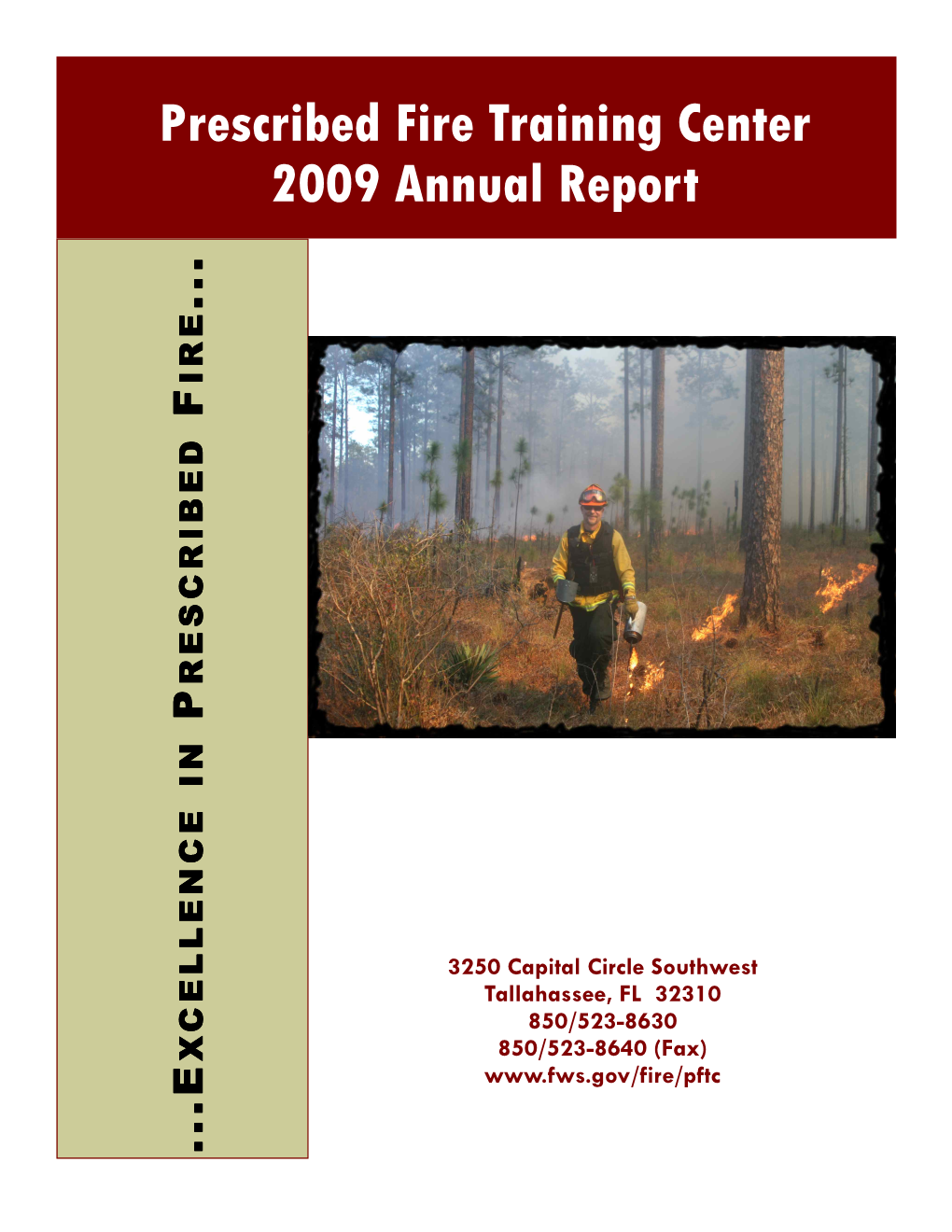 2009 Final Report.Pub