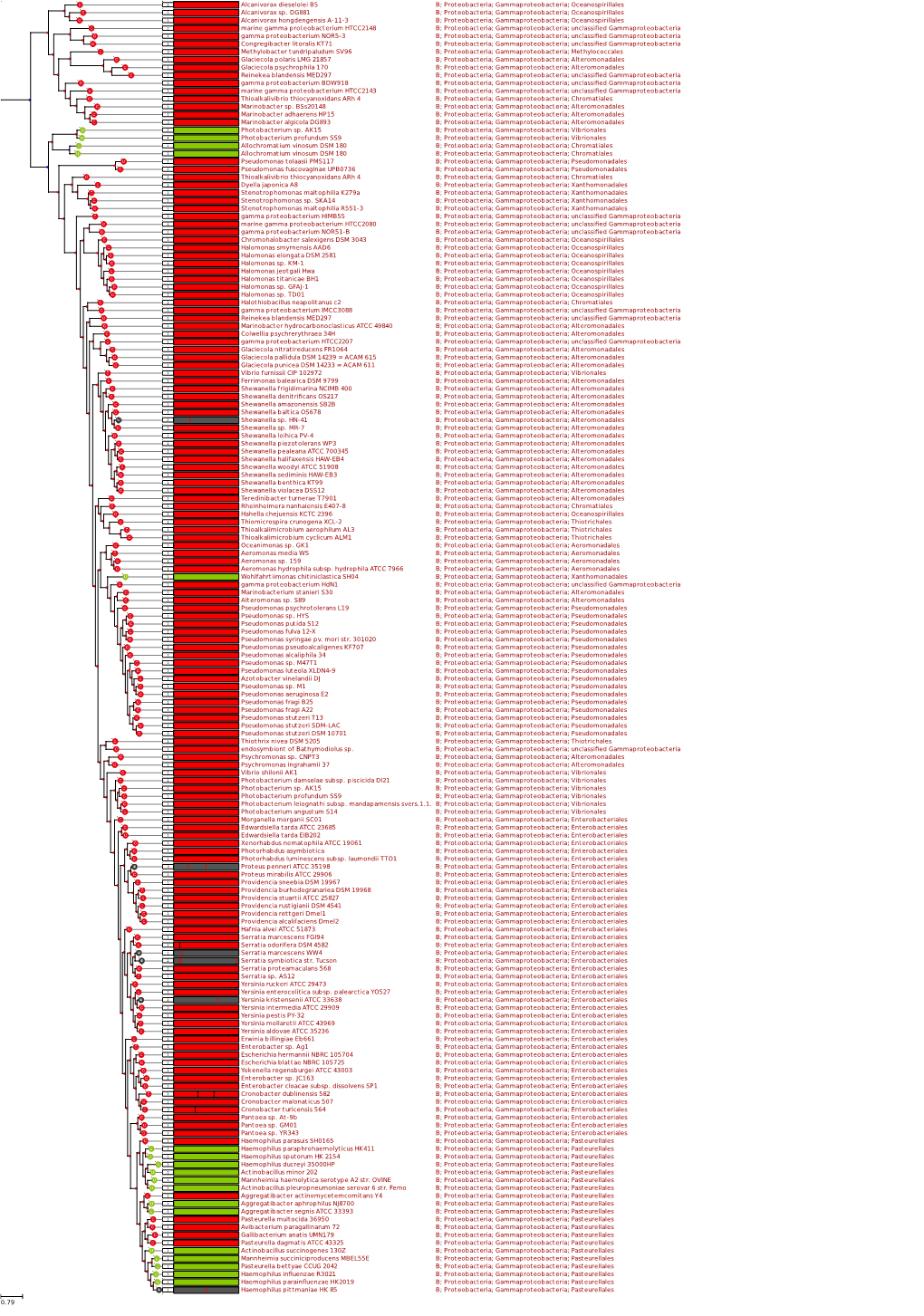 Figure SM1.5.Pdf