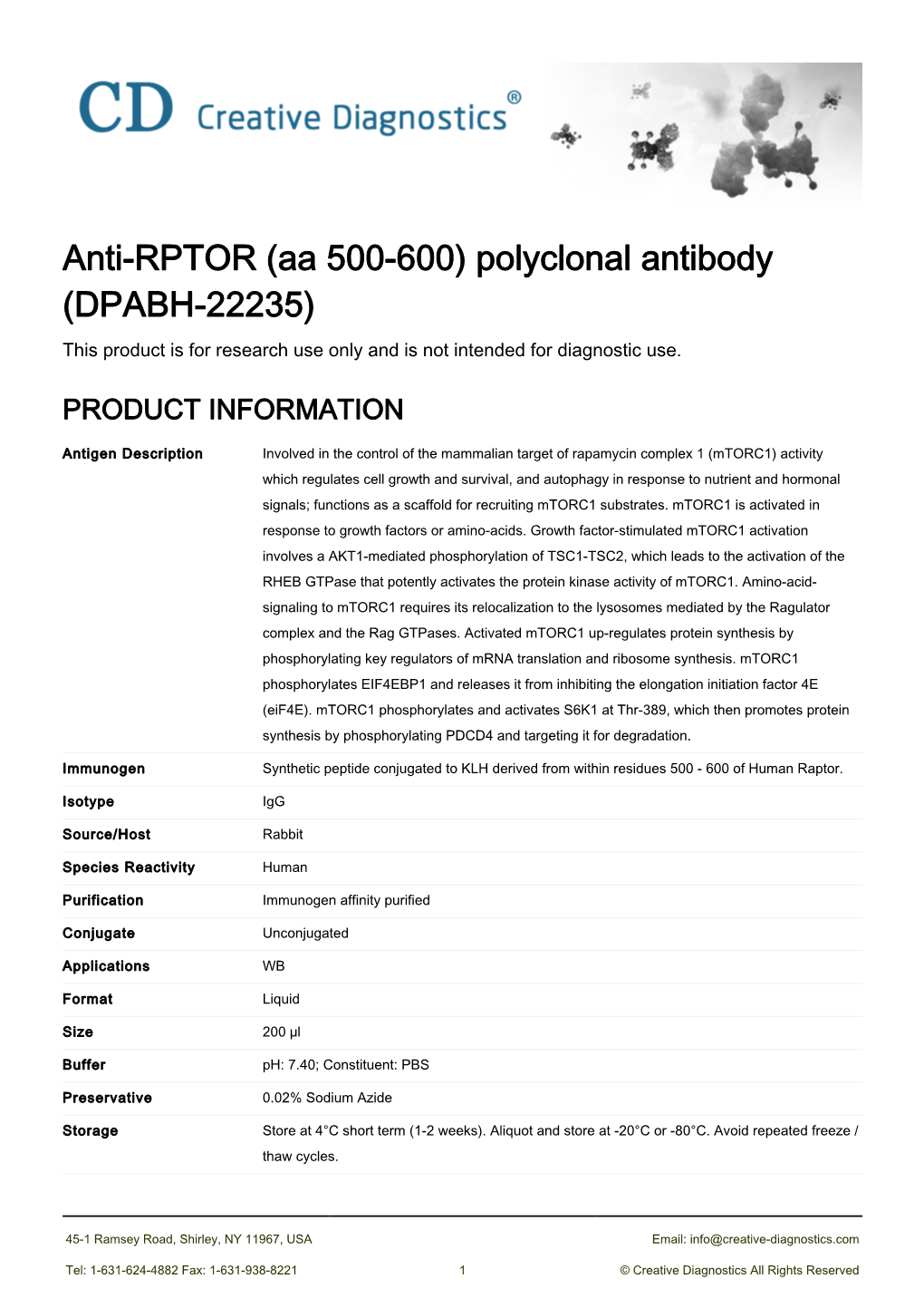 Anti-RPTOR (Aa 500-600) Polyclonal Antibody (DPABH-22235) This Product Is for Research Use Only and Is Not Intended for Diagnostic Use