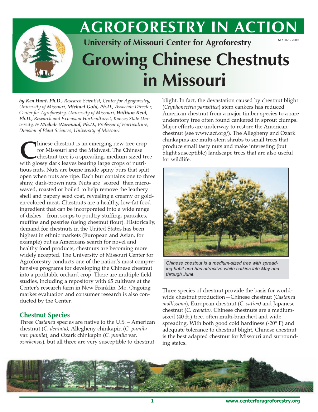 Growing Chinese Chestnuts in Missouri by Ken Hunt, Ph.D., Research Scientist, Center for Agroforestry, Blight