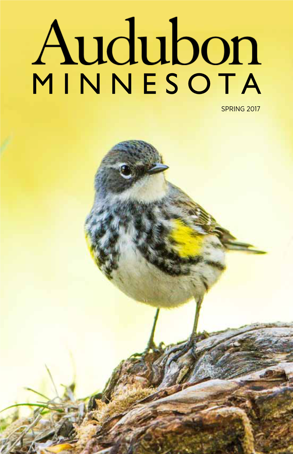 SPRING 2017 Audubon Minnesota View