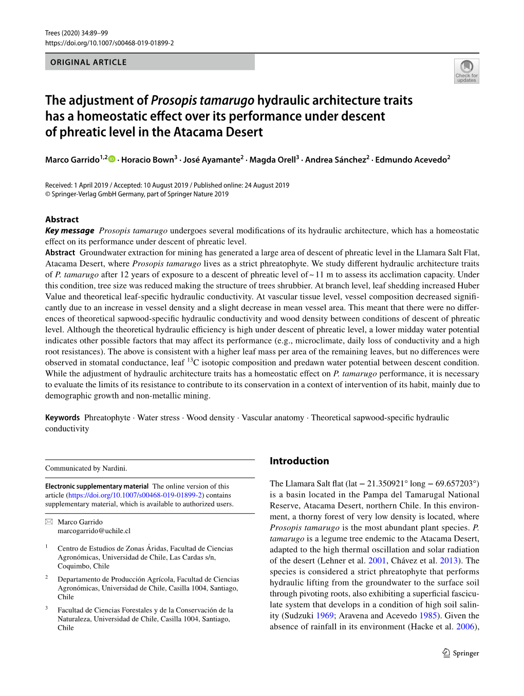 The Adjustment of Prosopis Tamarugo Hydraulic Architecture Traits Has a Homeostatic Efect Over Its Performance Under Descent of Phreatic Level in the Atacama Desert