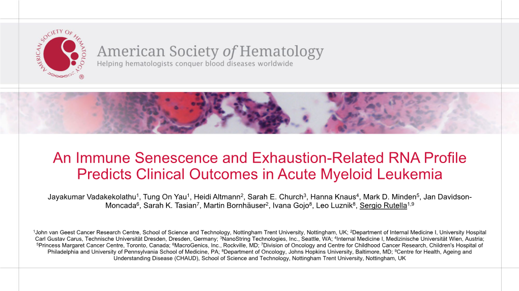 An Immune Senescence and Exhaustion-Related RNA Profile Predicts Clinical Outcomes in Acute Myeloid Leukemia