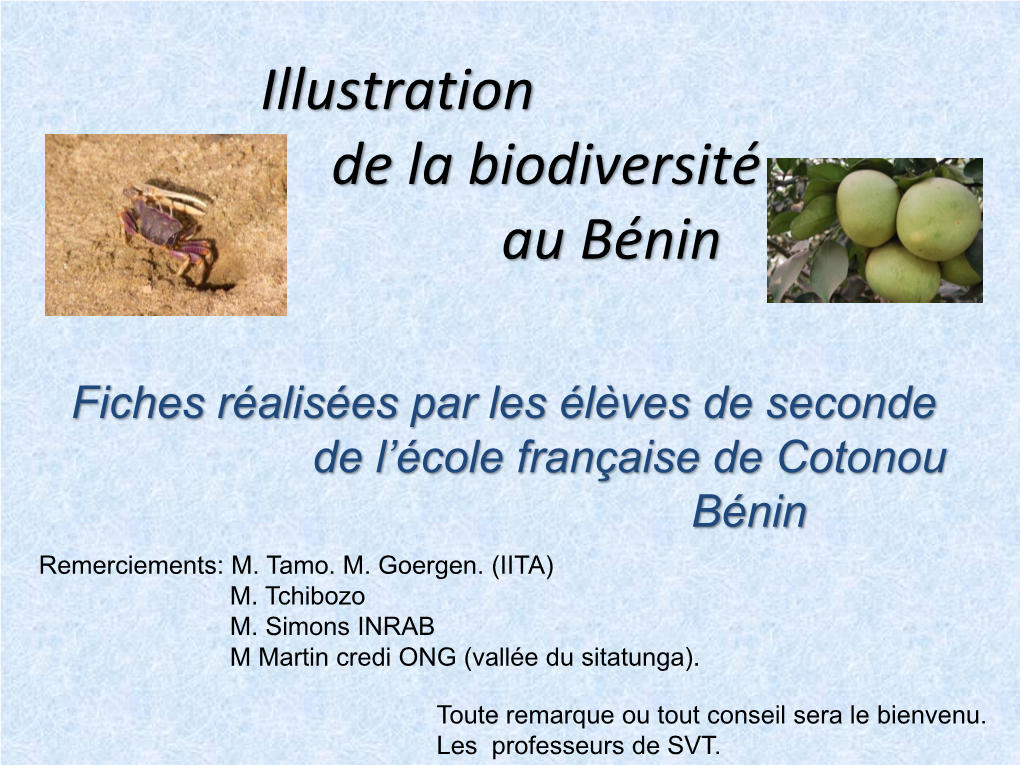 Illustration De La Biodiversité Au Bénin