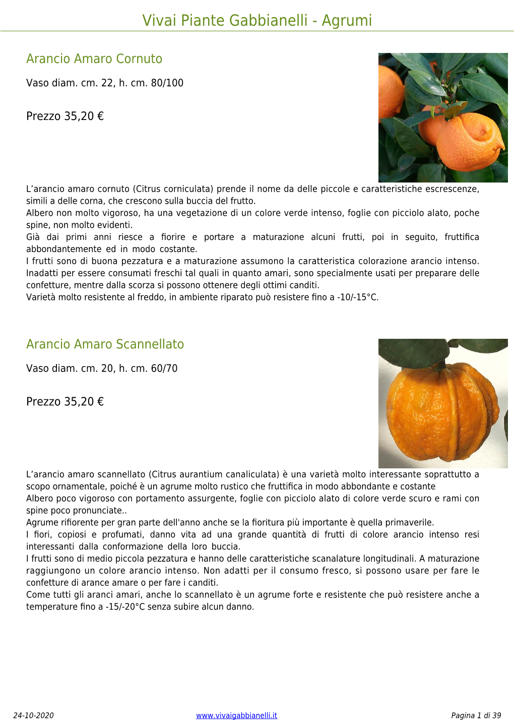 Catalogo Agrumi