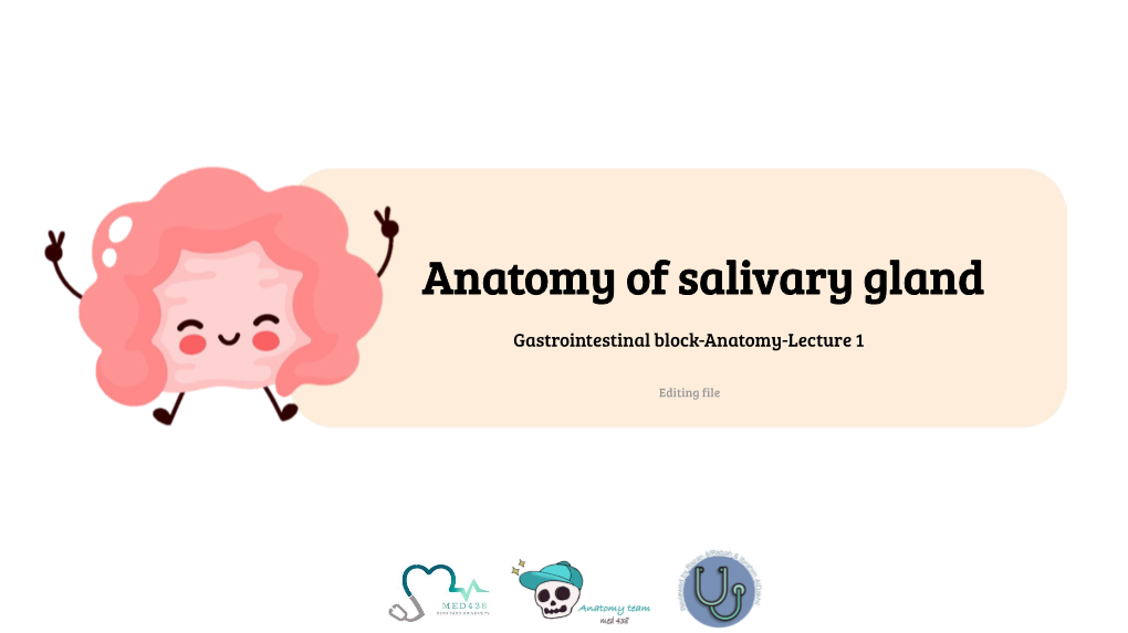 Anatomy of Salivary Gland